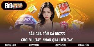 Bầu Cua Tôm Cá Big777 - Chơi Vui Tay, Nhận Quà Liền Tay