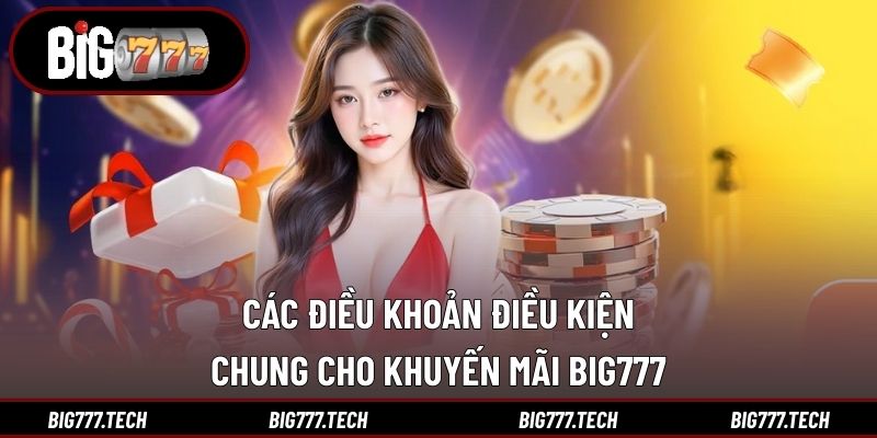 Khuyến Mãi Big777 - Quà Tặng Cực Hấp Dẫn Cho Hội Viên 2 Các điều khoản điều kiện chung cho khuyến mãi Big777