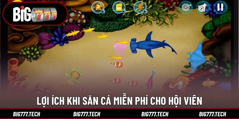 Lợi ích khi săn cá miễn phí cho hội viên