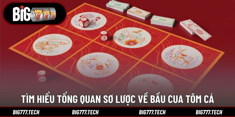 Tìm hiểu tổng quan sơ lược về bầu cua tôm cá